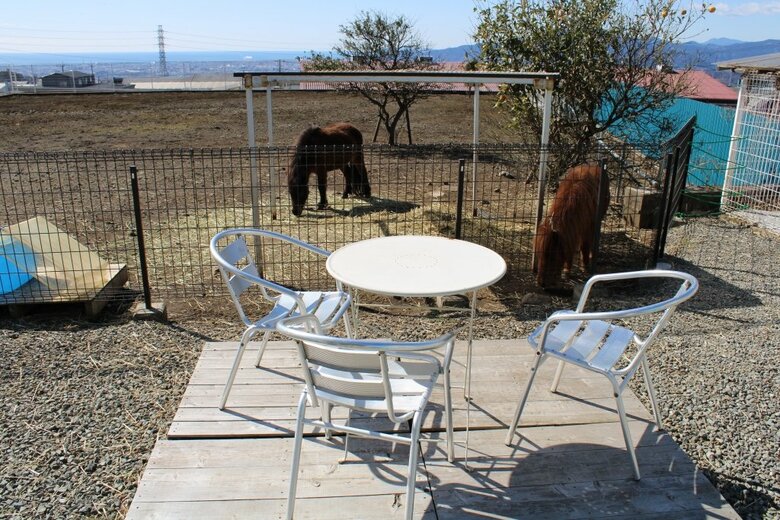 広大な景色とポニーを見ながらの食事は格別