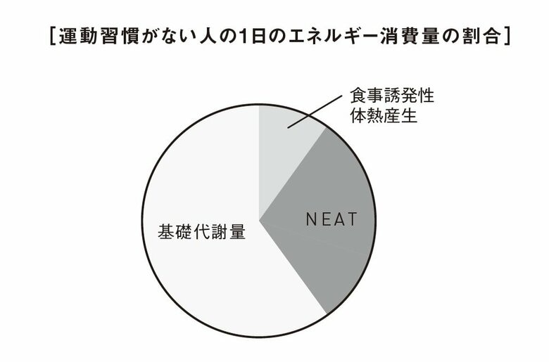 運動習慣がない人の1日のエネルギー消費量の割合（『疲労回復の習慣』から抜粋）