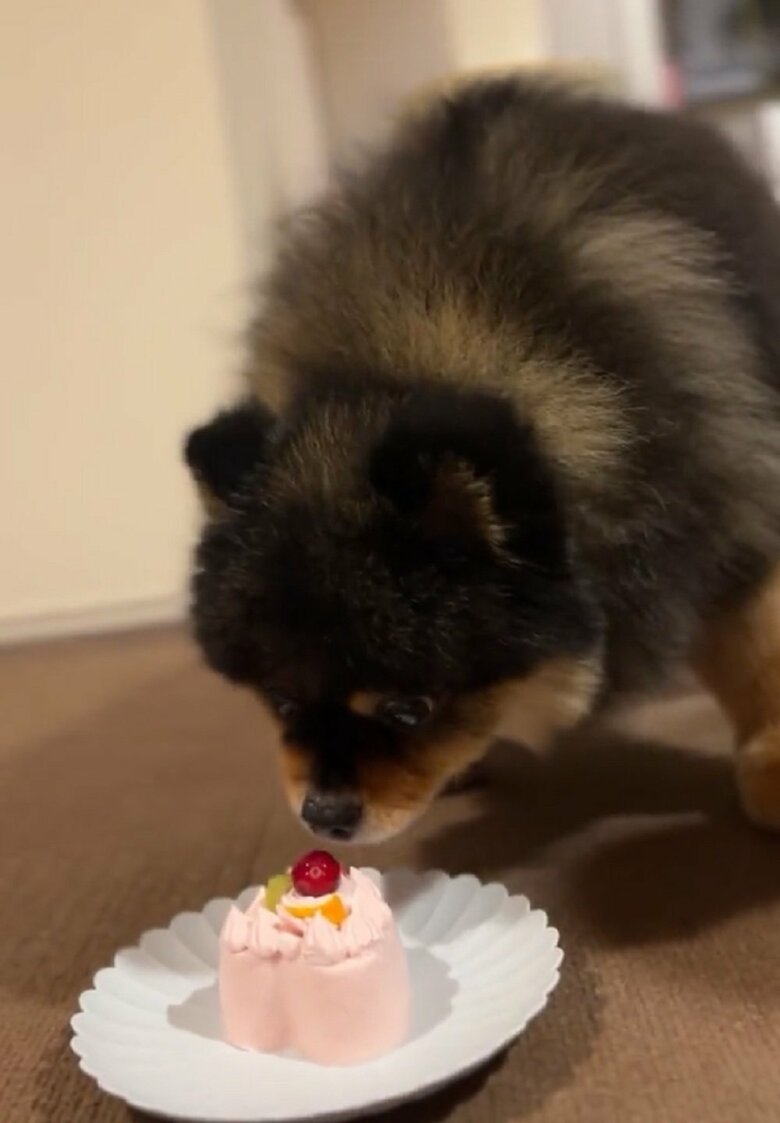 やっと食べ始める