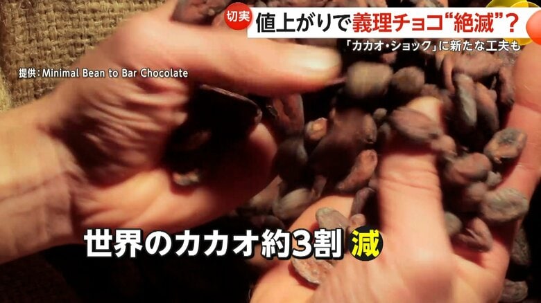 深刻なチョコレート不足により価格が高騰したというカカオ豆