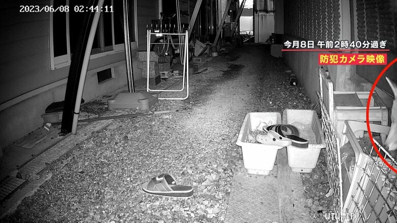 画面右から顔を出したのは…