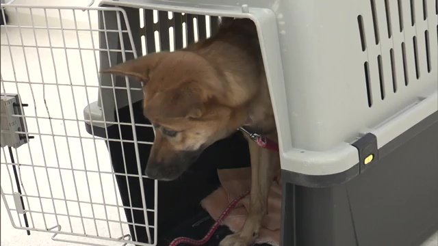 お仕置きの嫌な場所と思わせない