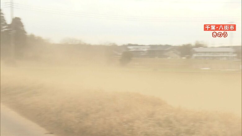 落花生畑に砂煙が舞う