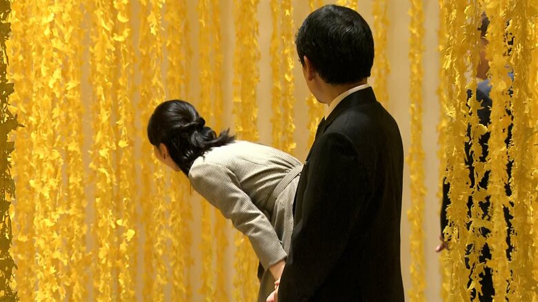 須藤玲子さん作「ピカチュウの森」をご覧に