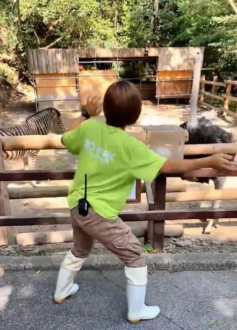 戻ってきたキョウちゃんへ、女性飼育員は再び踊りを見せる