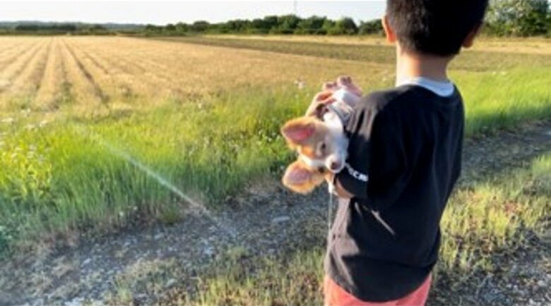 提供：ふくのすけさん