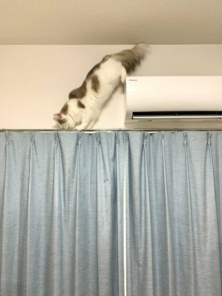 高いところもスイスイ