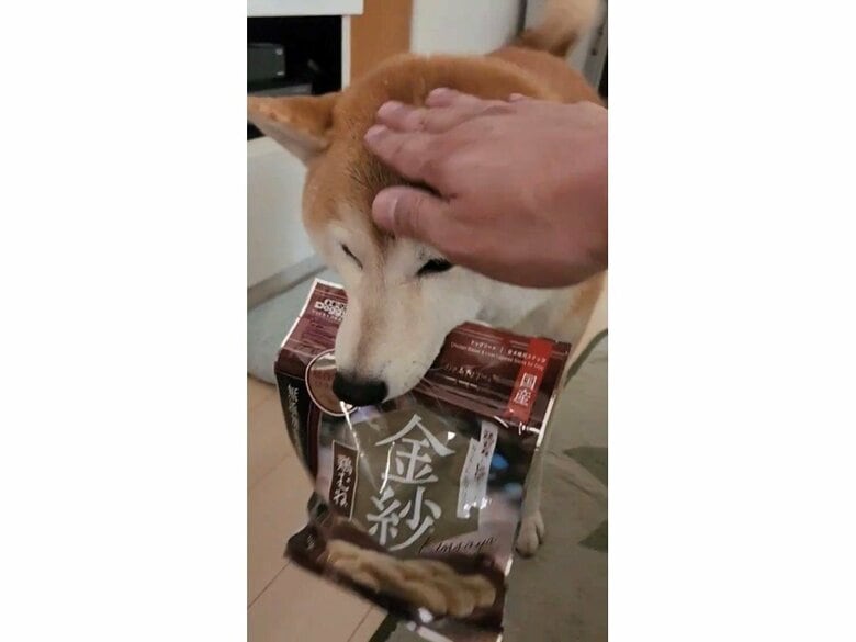 食べたい！