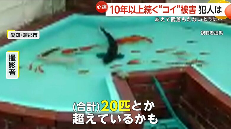 合計20匹以上の被害になっているという
