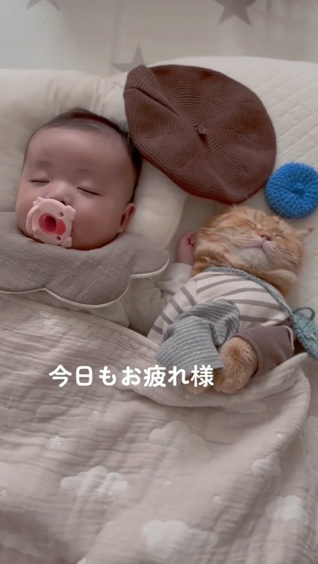 提供：ひなまる色さん