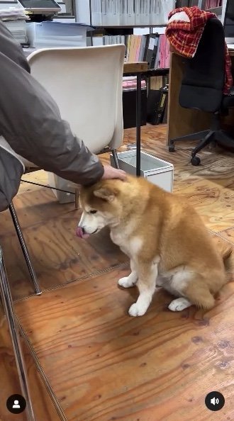 提供：エイトデザイン