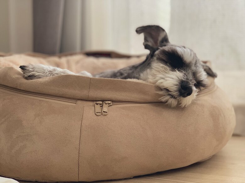 提供：くぅさん