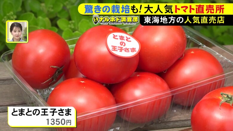 ニュースONE