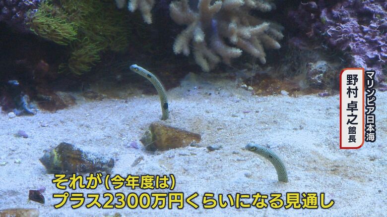 今年度 電気代の見通しは…