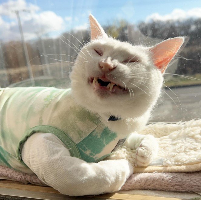 提供：しんばぷーさん