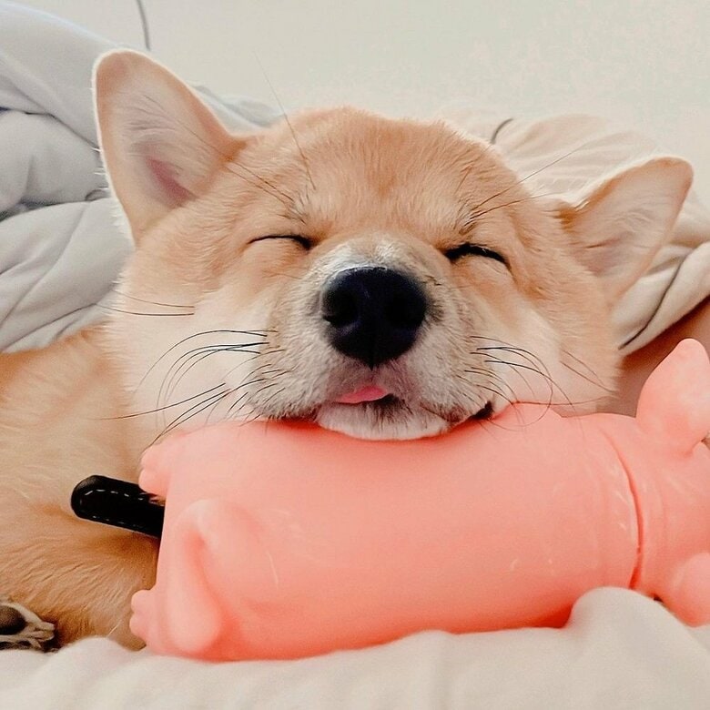 ぐっすり