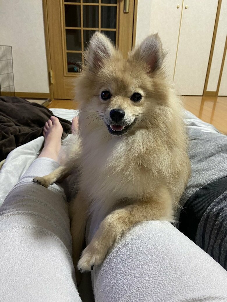 足の上でリラックス