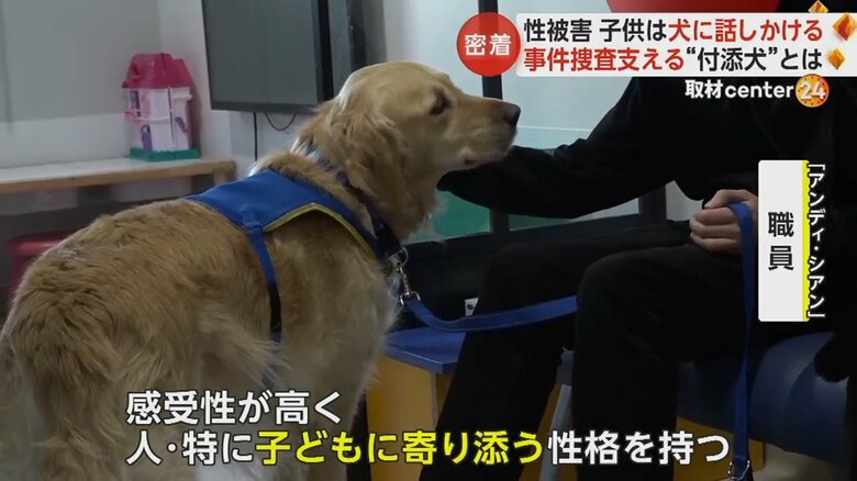 性被害を受けた子どもに寄り添う付添犬
