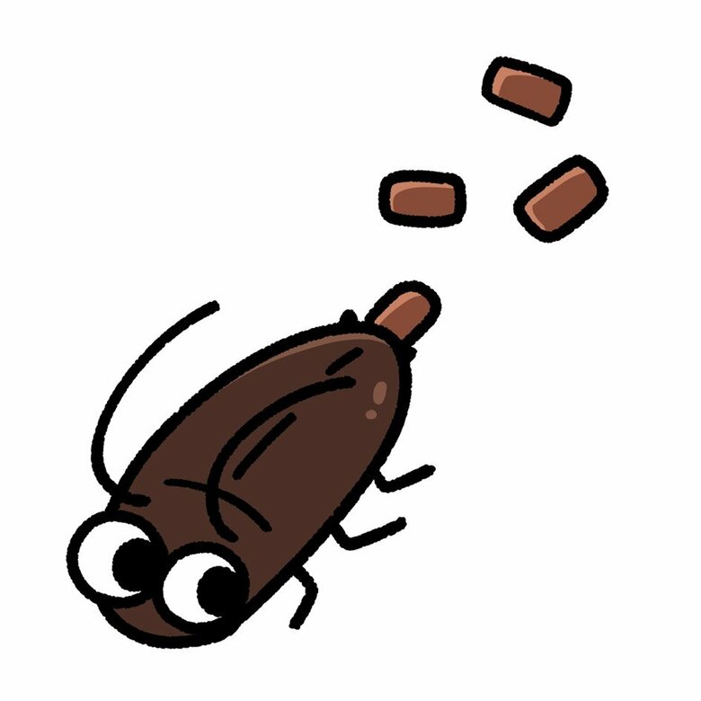 クロゴキブリは夏から秋に産卵する（イメージ）