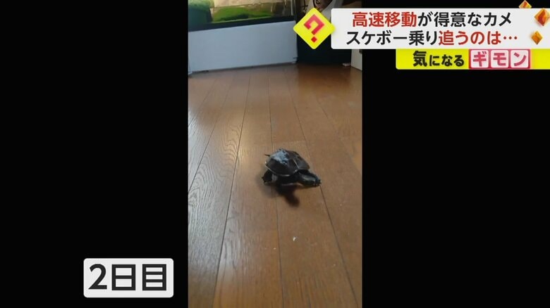 ２日目には驚くほどスピードアップしていた