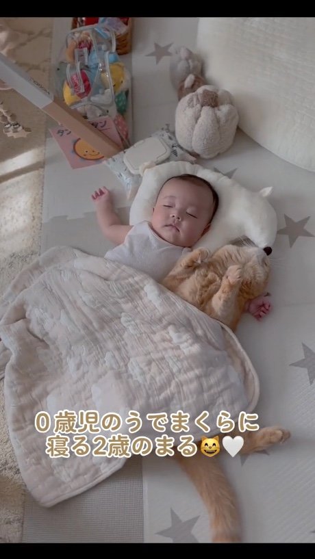 提供：ひなまる色さん