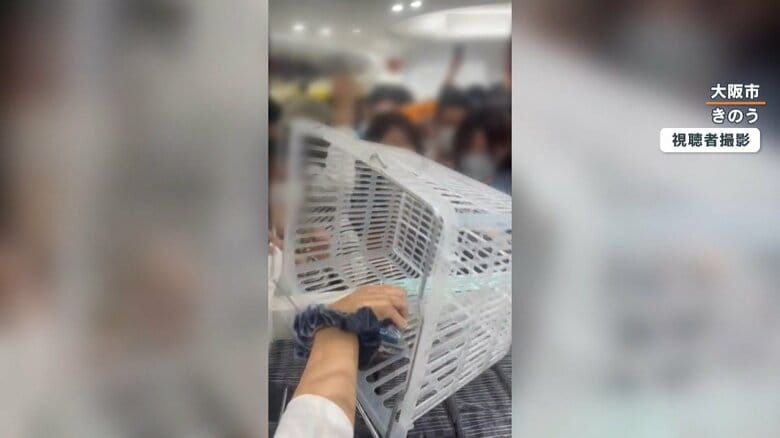 ものの数秒でからに