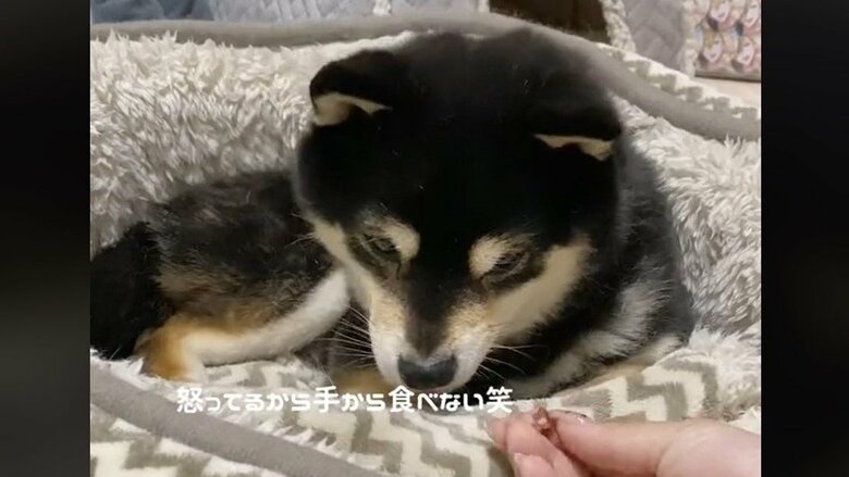 やっぱり落ち込んでしまった