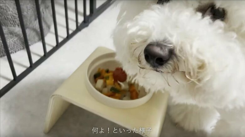 基本、残さず食べてくれる