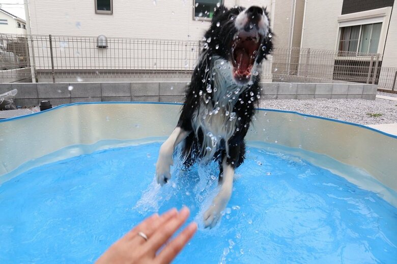 プール開きでテンションMAX