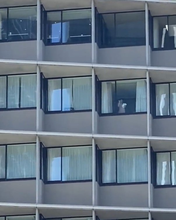 提供：ぴかさん