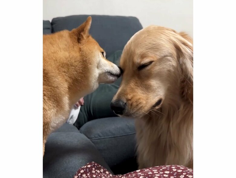 提供：うにandおからさん