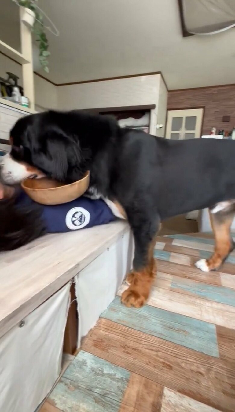 「食べたよー！」とパパさんに報告していた