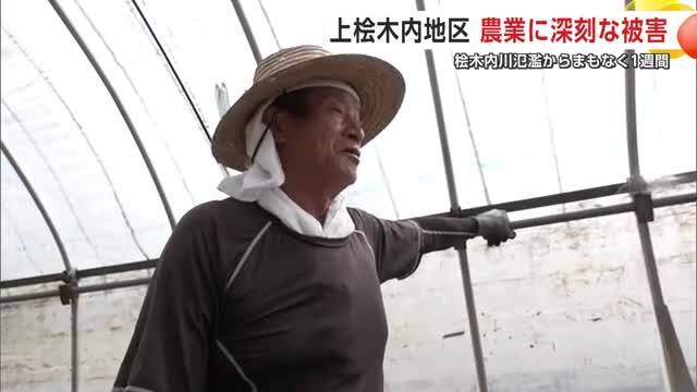育てた野菜や稲が被害を受けた若松金男さん