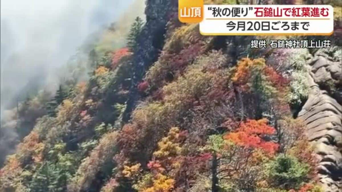 西日本最高峰から秋の便り “天空の世界”石鎚山で紅葉始まる 青空の下