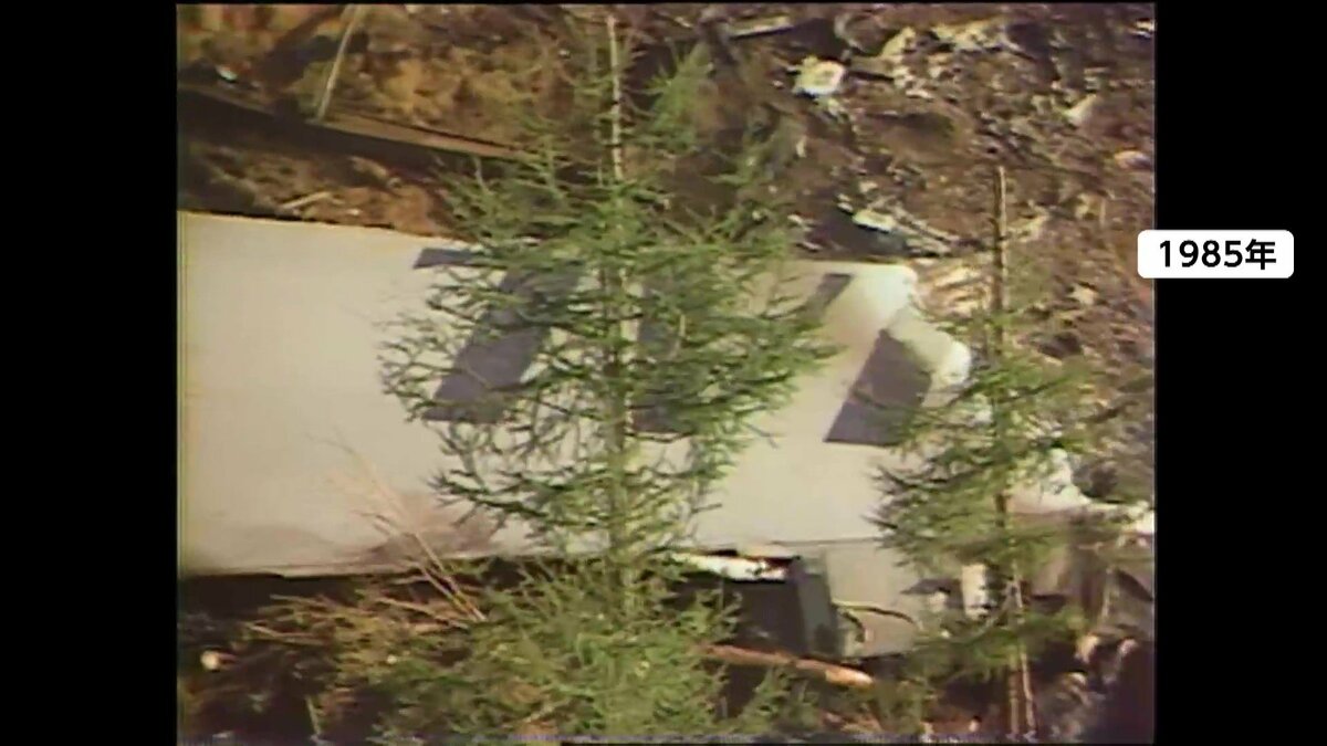 ♦日航ジャンボ機墜落事件❄️関連誌全５冊⭐御巣鷹山⭐事故調⭐ボイスレコーダー 日航機墜落事故 取材やボイスレコーダー・報告書をもとに当時の