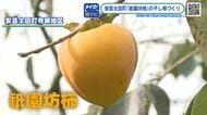 糖度の高いおいしい干し柿「祇園坊柿（ぎおんぼうがき）」　収穫作業ピーク　年末の贈答品にピッタリ！広島