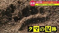 190万都市 札幌の周辺に棲みつくヒグマ 出産繰り返し10頭以上生息か…小学校近くの公園に足跡も【北海道発】