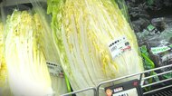 白菜が1080円！？値段上がり続ける野菜「我慢しようかな…」 店側も工夫凝らす中“3月も平年より高い状態続く”見通し 新潟