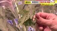 生で食べても一切“えぐみ”なし…「博多しゅんぎく」の新たな魅力発見　福岡市産の農産物がいま人気　スーパーの特設ブースでPR