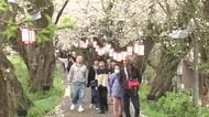 桜の名所・花見客でにぎわう　福井市・足羽河原「まだ楽しめる」　“春の嵐”から一転、日差しも