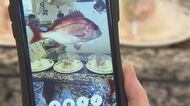 寿司ネタの魚が泳ぐ!?スマホをかざして… エンタメ系回転寿司店の「デジタル水族館」が人気【愛知発】