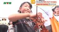  イセエビのみそ汁に行列　子供たちはつかみ取り　長崎市野母崎地区で「伊勢エビまつり」