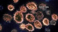 中学校と介護施設でクラスター 新たに19人が感染 秋田