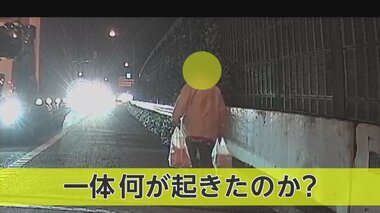【独自】夜の高速道で“買い物帰り”の女性が路肩をフラフラと…一体何が?
