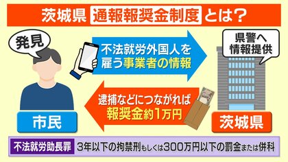 【物議】茨城 外国人不法就労通報で報奨金1万円！？ 背景に全国ワースト1の現状…専門家「外見で判断できないため差別を助長する恐れ」