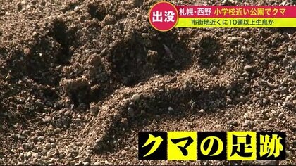 190万都市 札幌の周辺に棲みつくヒグマ 出産繰り返し10頭以上生息か…小学校近くの公園に足跡も【北海道発】