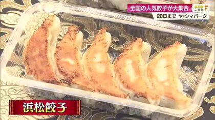 「全国ぐっと！餃子まつり」開幕！王道・浜松餃子や広島の牡蠣餃子など11店舗が集結【高知】