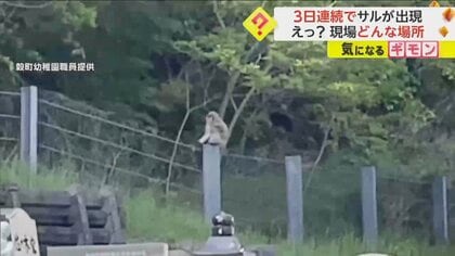 「びっくり。山の中ならともかく」石巻市中心部の幼稚園付近に3日連続で“サル”出没　「人に危害及ぶ前に」市がわな設置　宮城