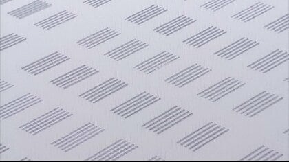 「雨が降らないのが一番の原因」有明海の養殖ノリ4分の1が色落ち 晴れ続きで植物プランクトン活発化 赤潮も発生