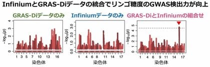 芽生えの段階でのリンゴ果実特性の予測精度が向上!~ゲノム情報の統合で過去に取得したデータも利用可能に~